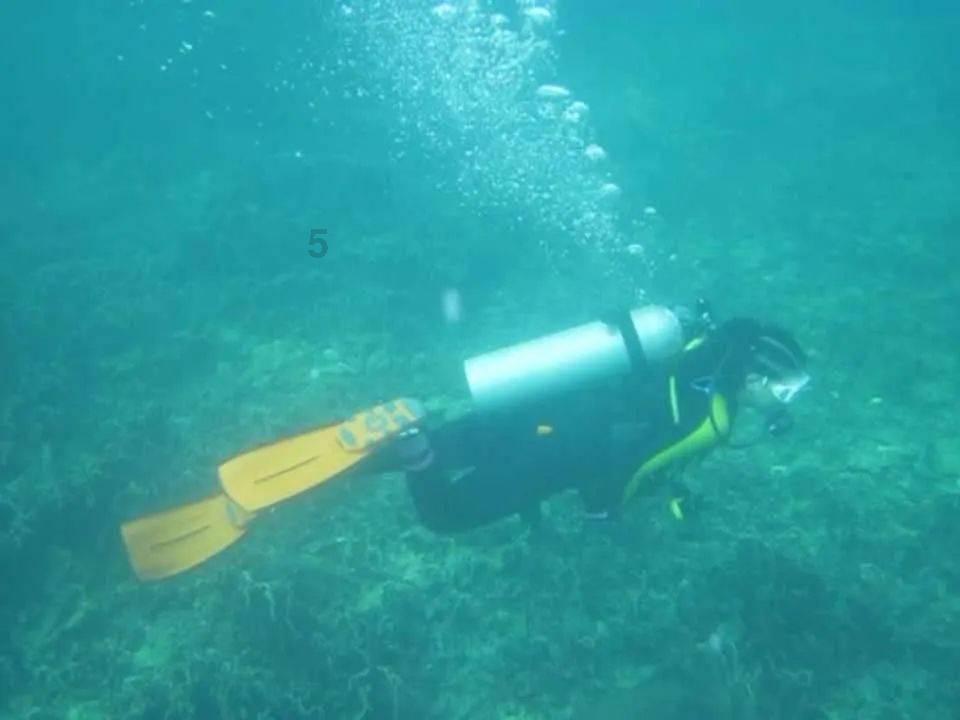 轻松逃生
